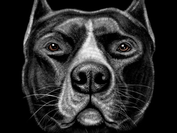 Pitbull Head buy t shirt design Pitbull Head buy t shirt design