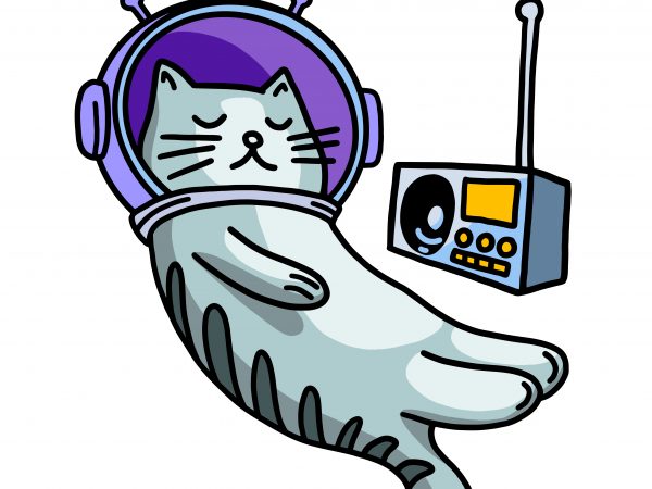 Sleeping cat in space with music. Vector t-shirt design Sleeping cat in space with music. Vector t-shirt design