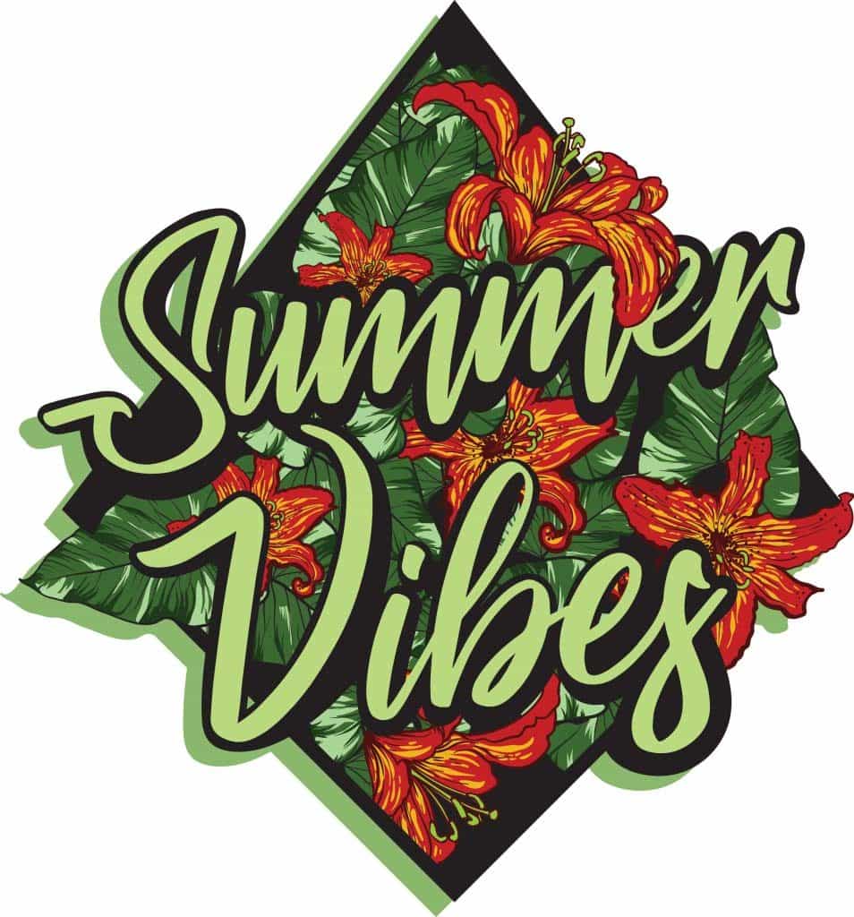 Download Summer vibes t shirt template vector