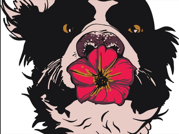 You can't see me i'm a flower buy t shirt design You can't see me i'm a flower buy t shirt design
